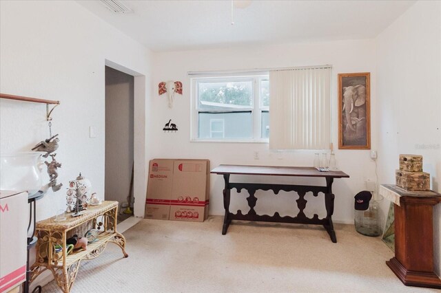 4015 Asbury Pl, Sarasota, FL 34233 - photo 23