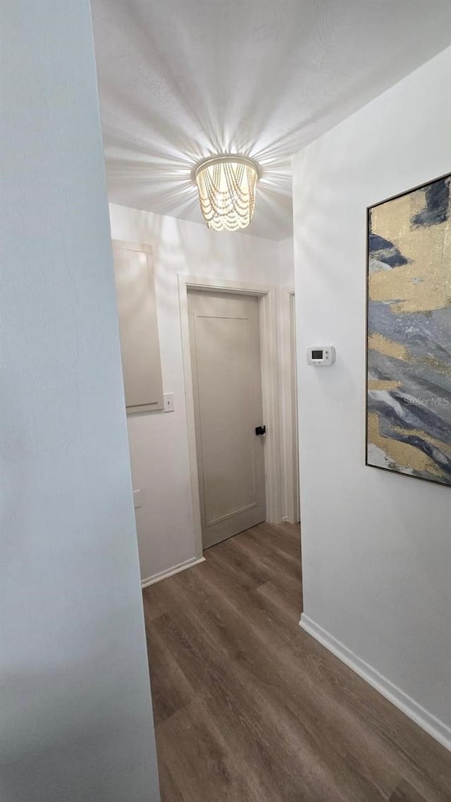 3730 Ferguson St, Sarasota, FL 34233 - corridor featuring wood finished floors and baseboards