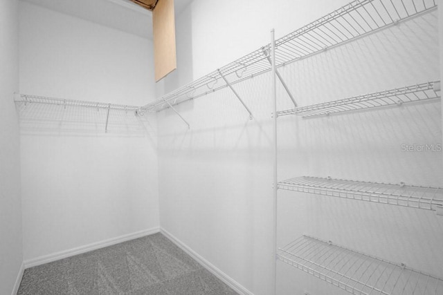 8632 Snowfall St, Sarasota, FL 34241 - walk in closet featuring carpet