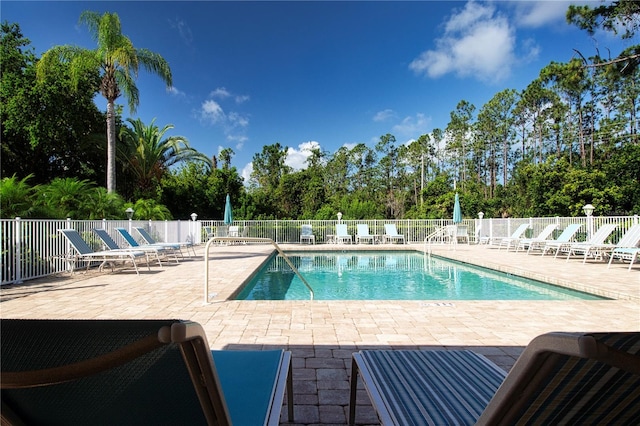 5330 Hyland Hills Ave Unit 2324, Sarasota, FL 34241 - community pool with a patio and view of wooded area