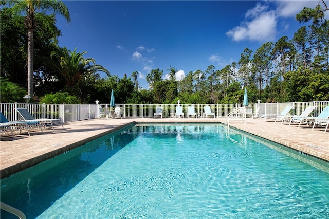 5330 Hyland Hills Ave Unit 2324, Sarasota, FL 34241 - community pool featuring a patio area and view of wooded area