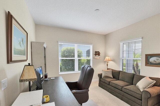 2631 Sapphire Blue Ln, Bradenton, FL 34211 - photo 35