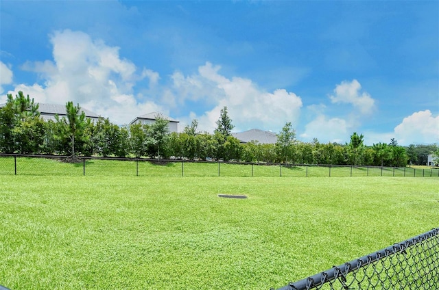 1919 Woodleaf Hammock Ct, Bradenton, FL 34211 - view of yard