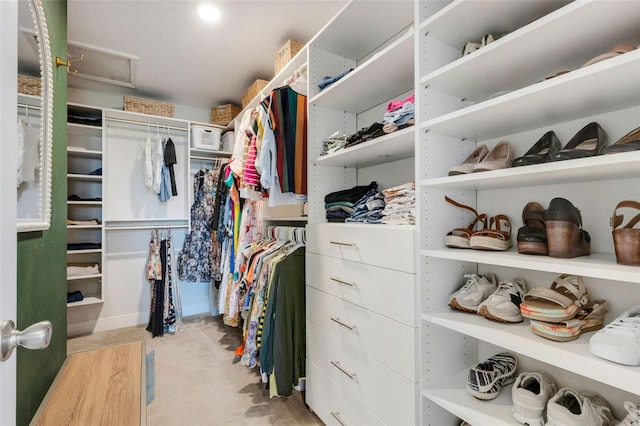 2332 Mizner Bay Ave, Bradenton, FL 34208 - walk in closet with carpet floors and attic access