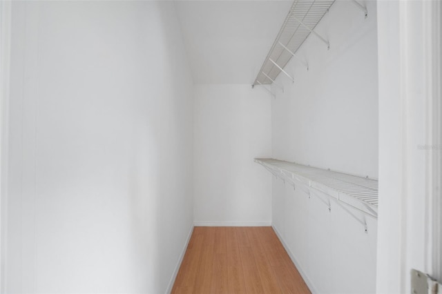 5639 Blount Ave, Sarasota, FL 34231 - walk in closet with light wood-style floors