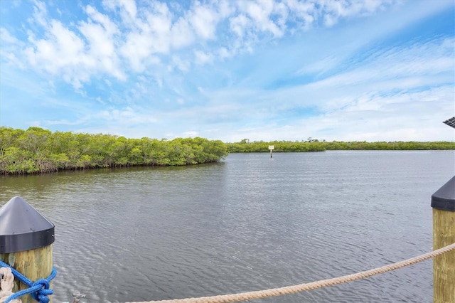 4844 14th Ave E, Bradenton, FL 34208 - water view