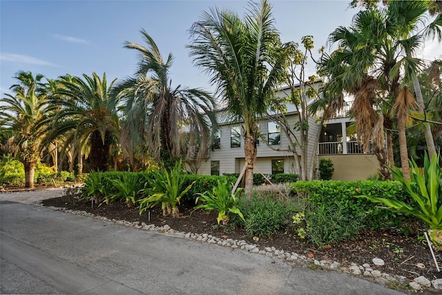 3446 Anglin Dr, Sarasota, FL 34242 - photo 6