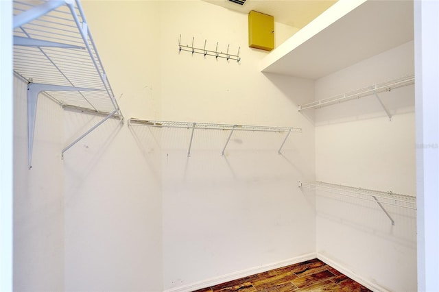 5905 32nd St E, Ellenton, FL 34222 - walk in closet featuring wood finished floors