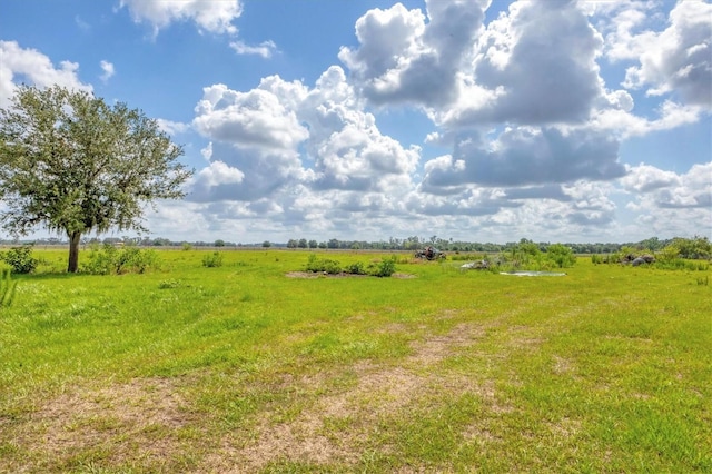7745 Wauchula Rd, Myakka City, FL 34251 - photo 38