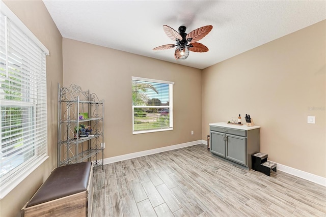 1219 Thornbury Dr, Parrish, FL 34219 - washroom with light wood finished floors, ceiling fan, and baseboards