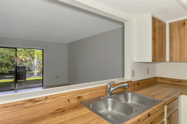 933 Sunridge Way Unit B5, Sarasota, FL 34234 - kitchen featuring a sink and a textured ceiling