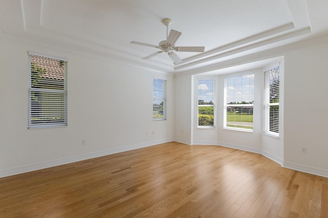 9719 Discovery Ter, Bradenton, FL 34212 - unfurnished room featuring a tray ceiling, light wood-style floors, ceiling fan, and ornamental molding
