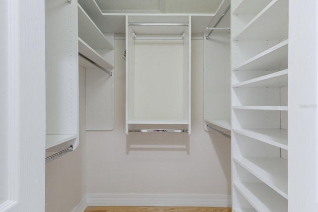 9719 Discovery Ter, Bradenton, FL 34212 - view of spacious closet