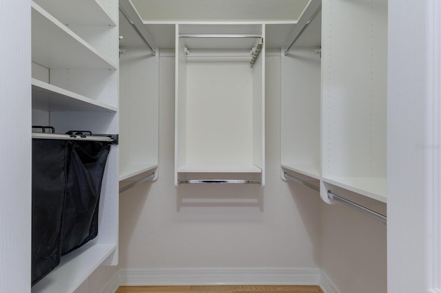 9719 Discovery Ter, Bradenton, FL 34212 - walk in closet with wood finished floors