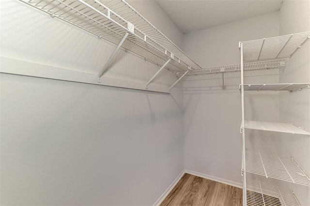 935 Sunridge Way Unit B4, Sarasota, FL 34234 - walk in closet with wood finished floors