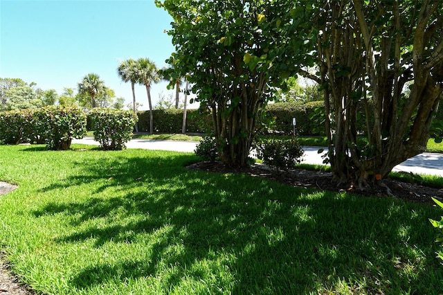 2055 Gulf Of Mexico Dr Unit G2-108, Longboat Key, FL 34228 - view of green lawn