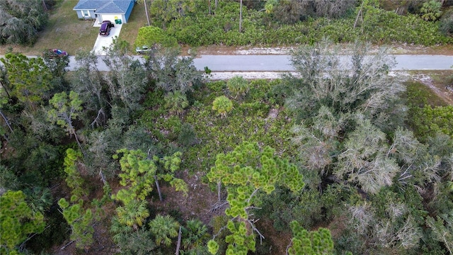 18407 Harrison Ave, Port Charlotte, FL 33954