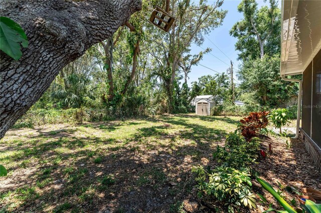 712 68th Ave W, Bradenton, FL 34207 - view of yard
