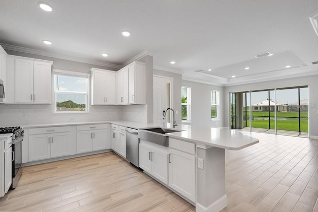 3204 Torta Ct, Bradenton, FL 34211 - kitchen with appliances with stainless steel finishes, a peninsula, crown molding, backsplash, and light wood-style floors