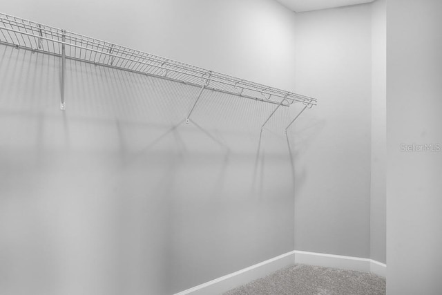 3204 Torta Ct, Bradenton, FL 34211 - walk in closet with carpet floors