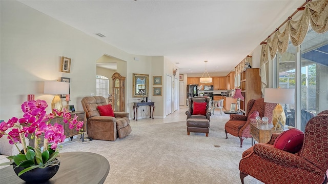 12520 Natureview Cir, Bradenton, FL 34212 - living area featuring light colored carpet and plenty of natural light