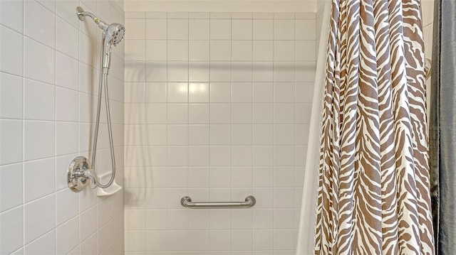 12520 Natureview Cir, Bradenton, FL 34212 - full bathroom featuring a tile shower