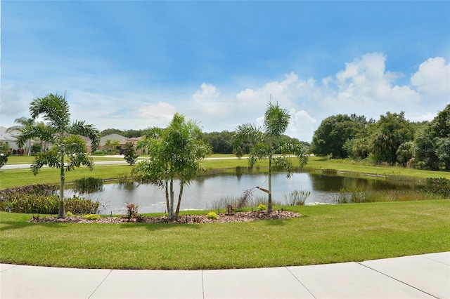12520 Natureview Cir, Bradenton, FL 34212 - water view