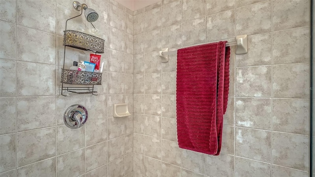 12520 Natureview Cir, Bradenton, FL 34212 - photo 45