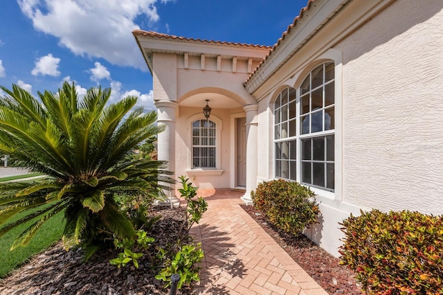 7432 Birds Eye Ter, Bradenton, FL 34203 - photo 2