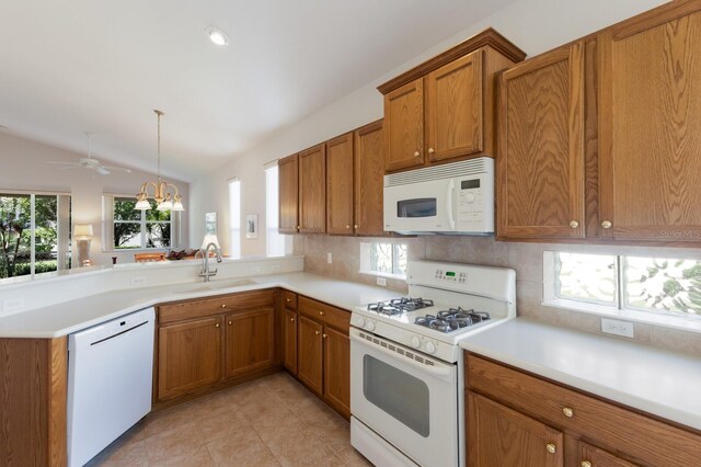 7432 Birds Eye Ter, Bradenton, FL 34203 - photo 14