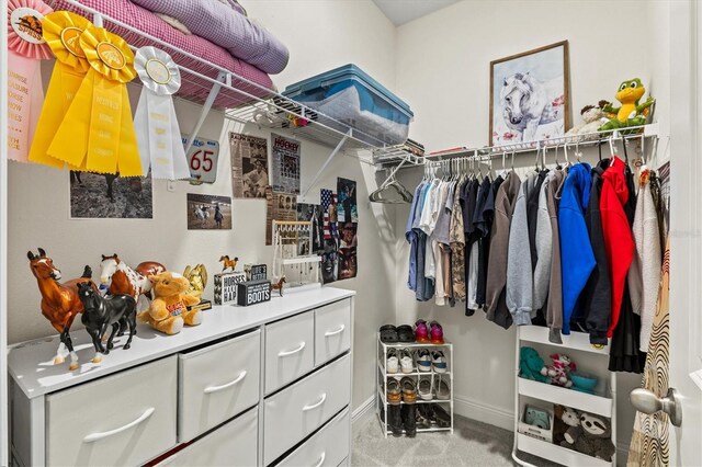 17547 Cantarina Cv, Bradenton, FL 34211 - spacious closet with carpet floors