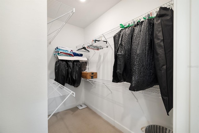 6239 Baywood Ct, Bradenton, FL 34211 - spacious closet with carpet floors
