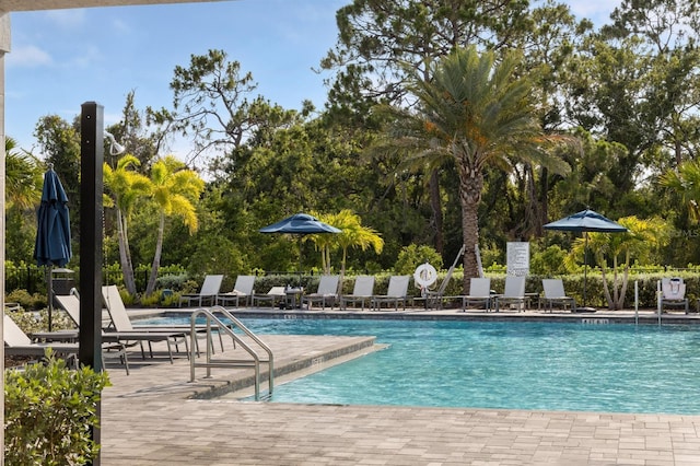 6239 Baywood Ct, Bradenton, FL 34211 - community pool featuring a patio area and view of scattered trees