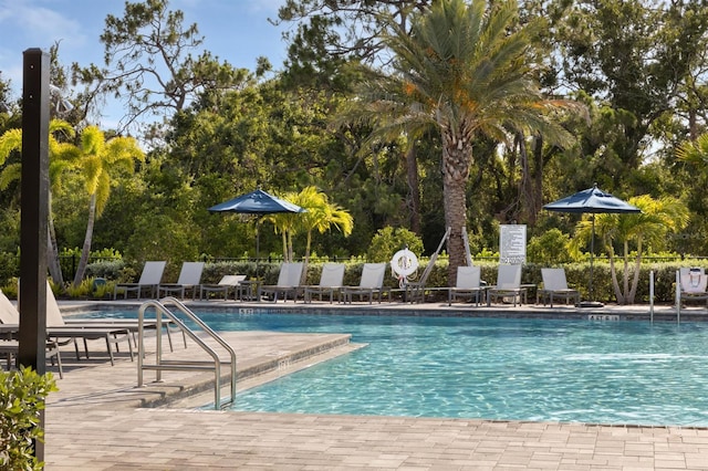 6239 Baywood Ct, Bradenton, FL 34211 - community pool with a patio area and view of scattered trees
