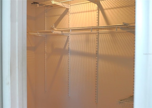 204 36th St W, Bradenton, FL 34205 - view of walk in closet