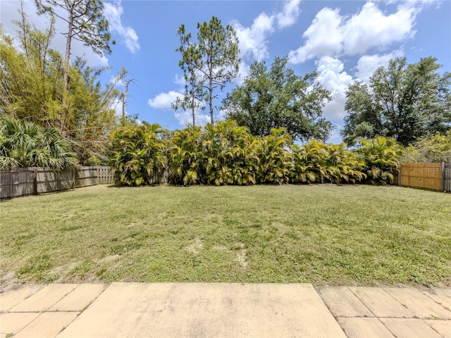 3698 N Chamberlain Blvd, North Port, FL 34286 - view of yard