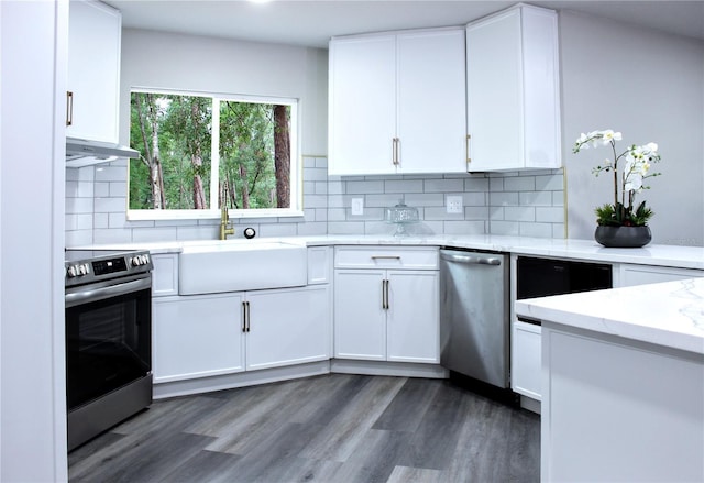 27944 Green Willow Run, Wesley Chapel, FL 33544 - kitchen with stainless steel appliances, a sink, white cabinetry, backsplash, and dark wood-style flooring