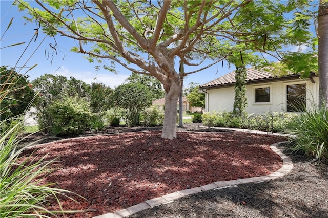 4696 Del Sol Blvd, Sarasota, FL 34243 - view of yard