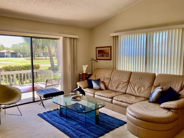 3407 Avenida Madera Unit A, Bradenton, FL 34210 - carpeted living area with lofted ceiling and a textured ceiling