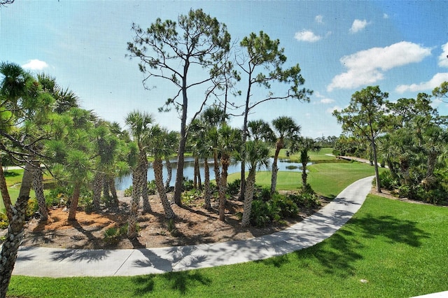 9540 High Gate Dr Unit 1422, Sarasota, FL 34238 - surrounding community featuring a water view and a lawn