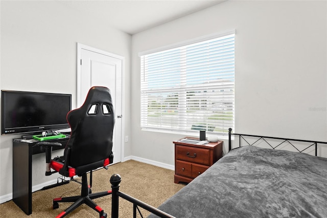 5659 Woodland Sage Dr, Sarasota, FL 34238 - bedroom with carpet, multiple windows, and baseboards