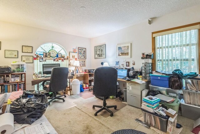 418 W Holly Dr, Orange City, FL 32763 - carpeted office space with a textured ceiling