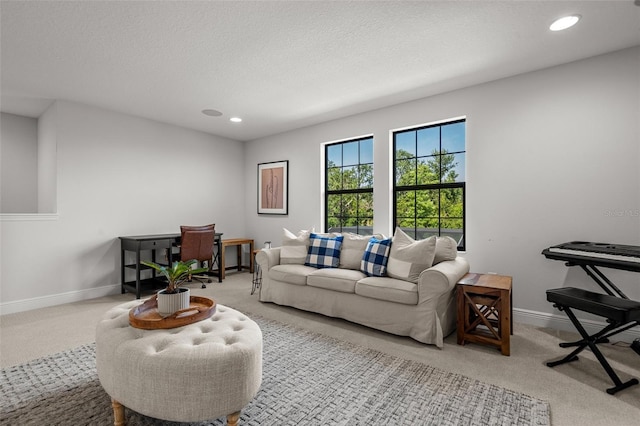 8932 Isabella Cir, Parrish, FL 34219 - living area featuring carpet flooring, baseboards, recessed lighting, and a textured ceiling