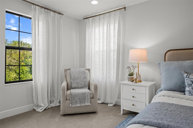 8932 Isabella Cir, Parrish, FL 34219 - bedroom with baseboards, carpet, and recessed lighting
