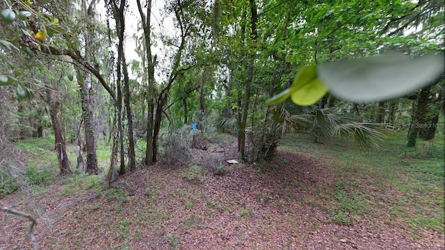 4513 Coconut Cove Pl, Valrico, FL 33596 - photo 2