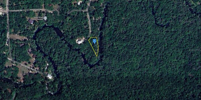 4513 Coconut Cove Pl, Valrico, FL 33596 - photo 3