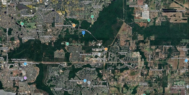 4513 Coconut Cove Pl, Valrico, FL 33596 - photo 5