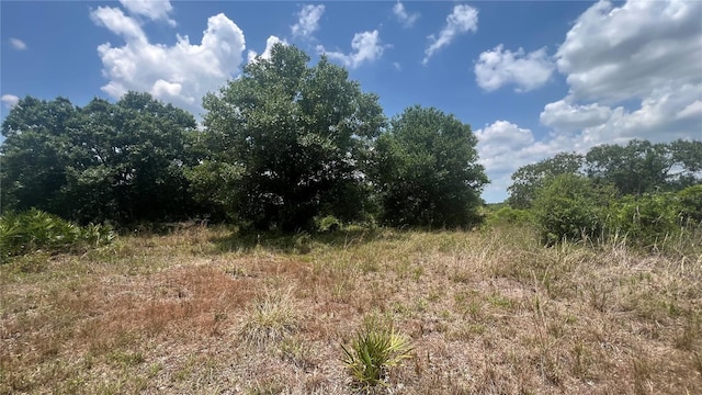 1865 NE Cross Ave, Arcadia, FL 34266 - photo 1