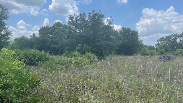 1865 NE Cross Ave, Arcadia, FL 34266 - photo 2