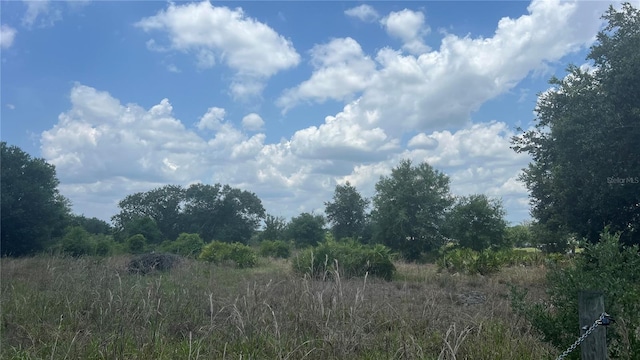1865 NE Cross Ave, Arcadia, FL 34266 - photo 3
